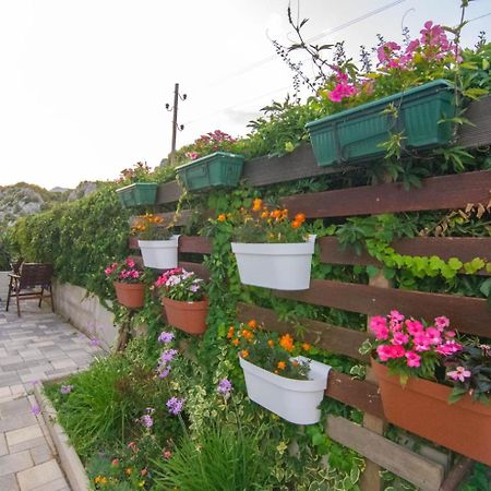 Village Holiday Apartman With Heated Pool Maslina Kostanje Exterior foto